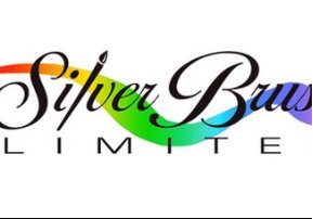 Silver Brush
