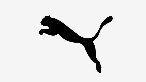 Puma India1
