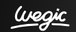 Wegic US