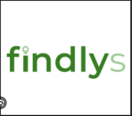 Findslys